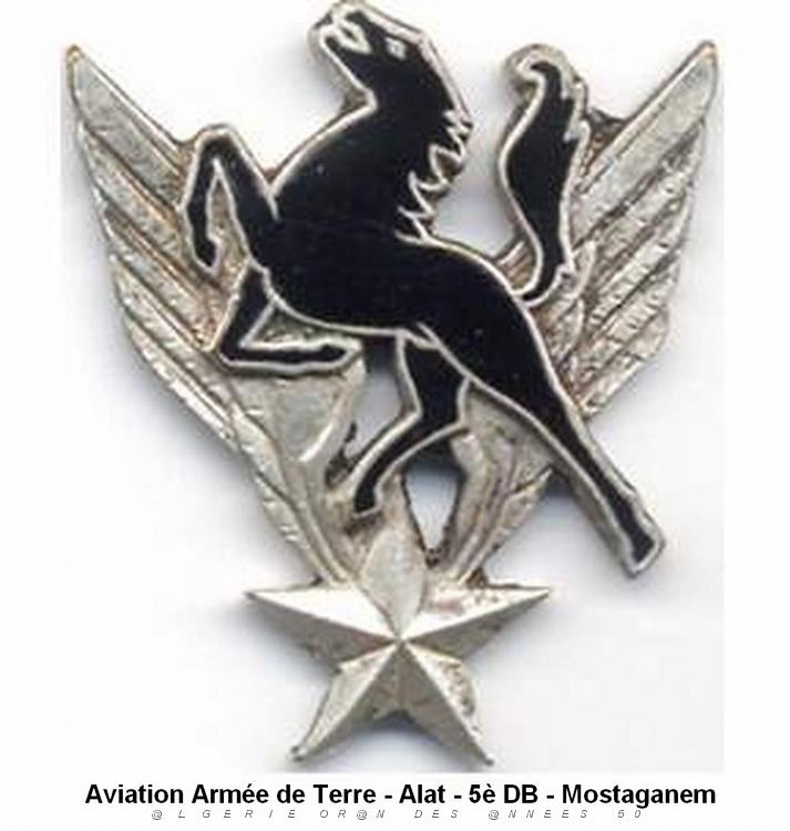 Alat- PA- PMAH- 5e DB- Mostaganem.jpg